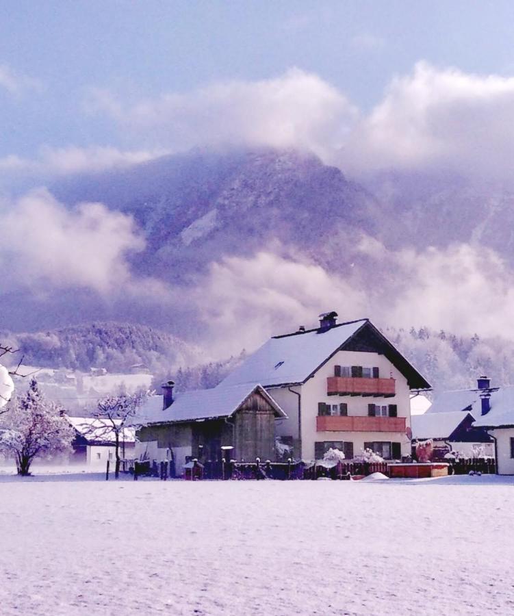 Haus Moni Apartment Bad Goisern Bagian luar foto