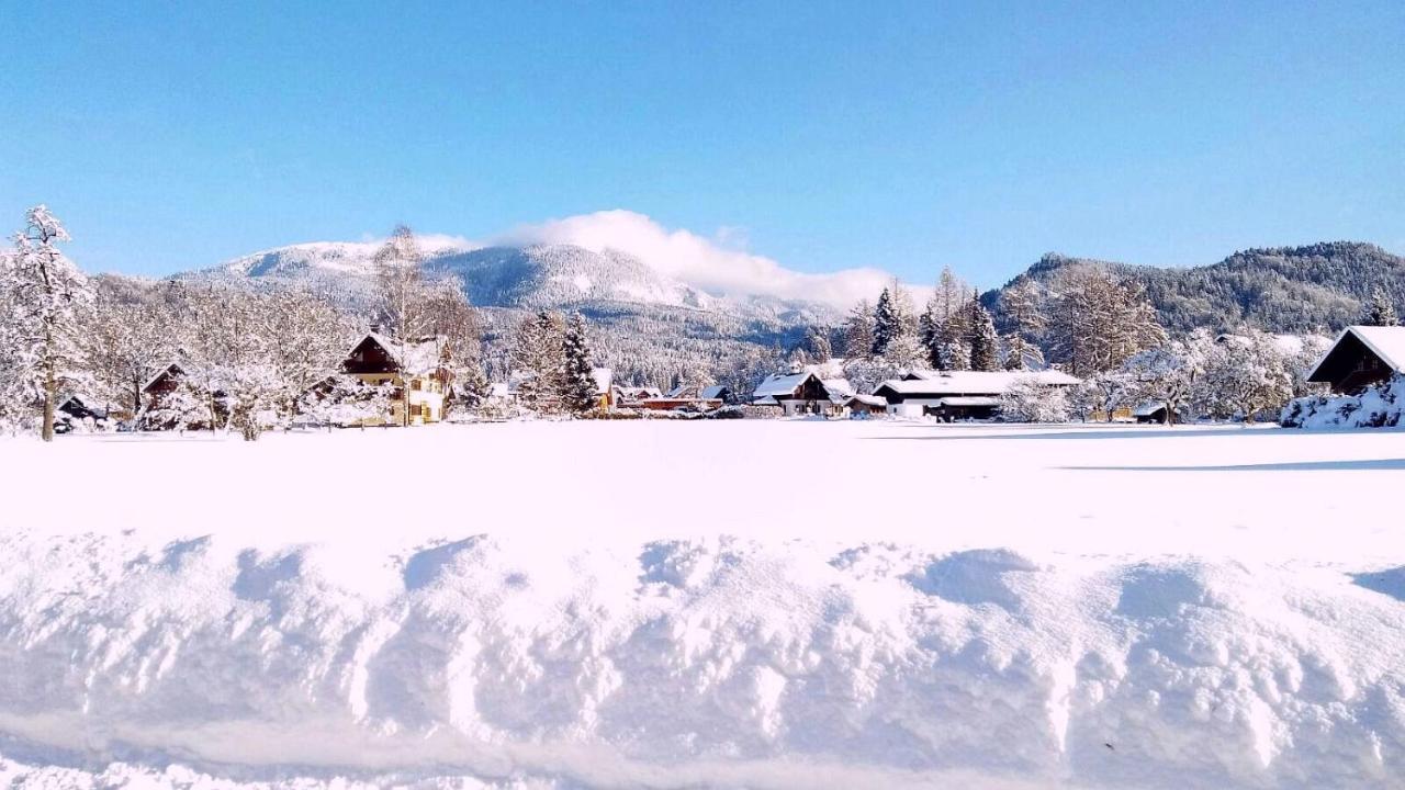 Haus Moni Apartment Bad Goisern Bagian luar foto