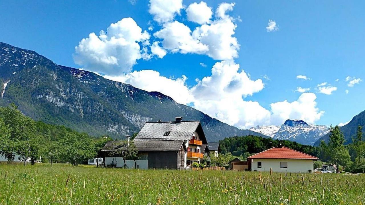 Haus Moni Apartment Bad Goisern Bagian luar foto