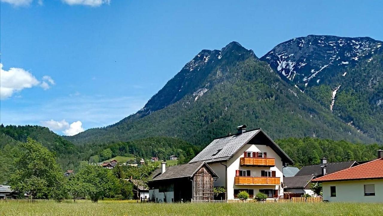Haus Moni Apartment Bad Goisern Bagian luar foto